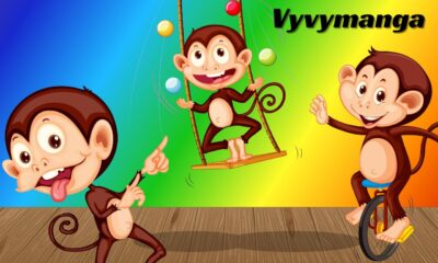 Exploring the World of Vyvymanga A Comprehensive Guide