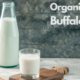 wellhealthorganic buffalo milk