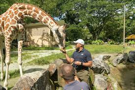 Exploring the World of Zoos: Their Role, History, and Ethical Considerations